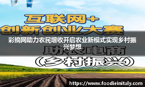 彩摘网助力农民增收开启农业新模式实现乡村振兴梦想