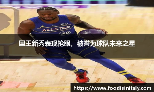 国王新秀表现抢眼，被誉为球队未来之星