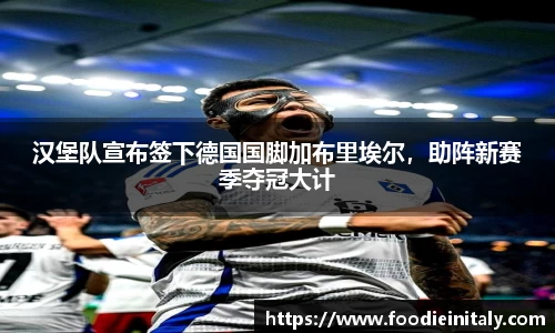 汉堡队宣布签下德国国脚加布里埃尔，助阵新赛季夺冠大计